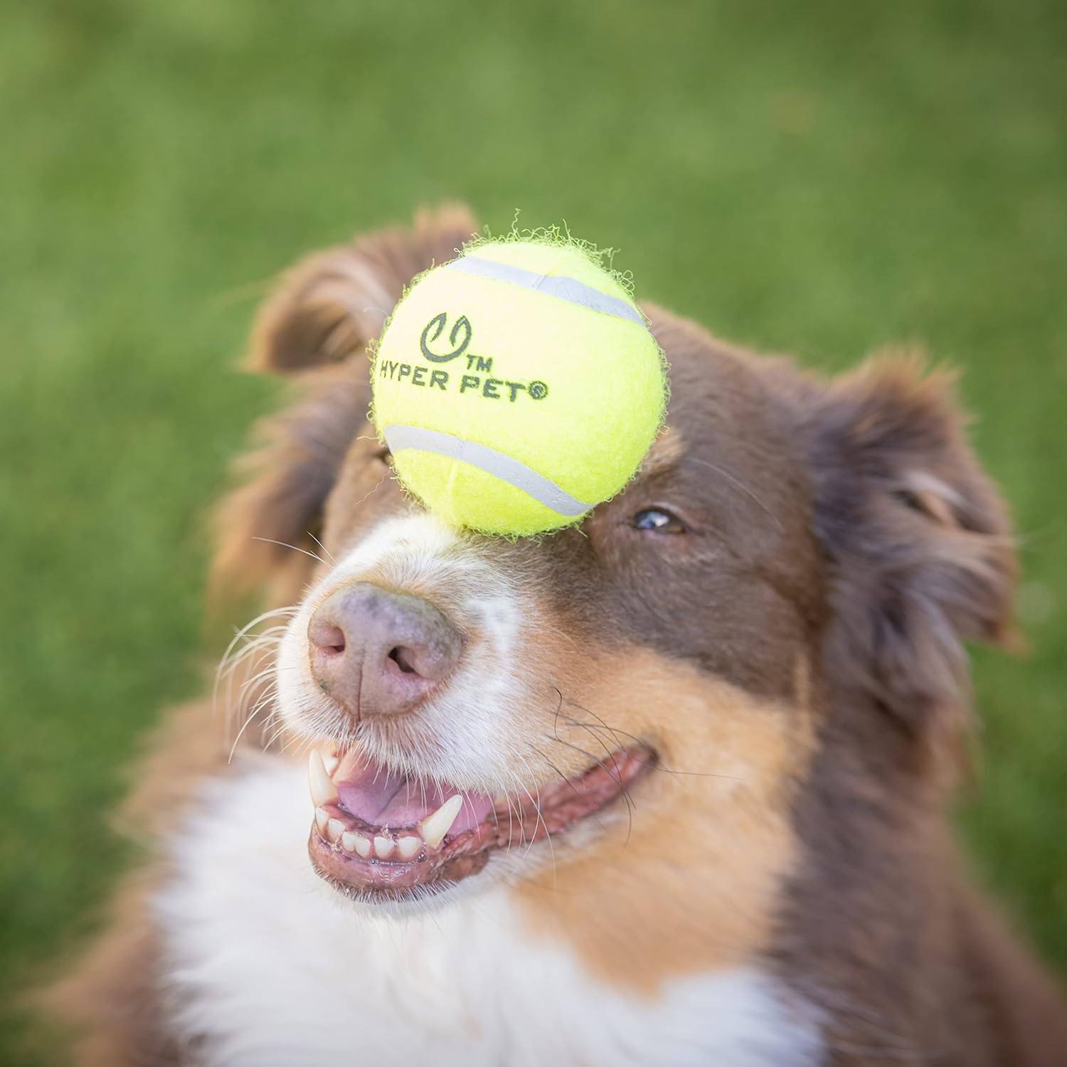 Hyper Pet Tennis Balls for Dogs - 12 Pack