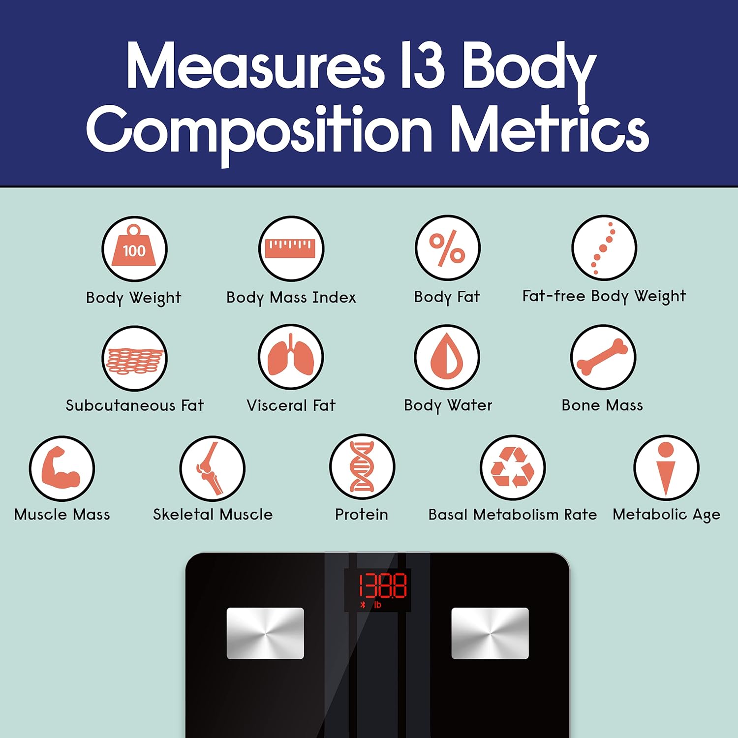 EnerPlex Scale for Body Weight, 2 Pack