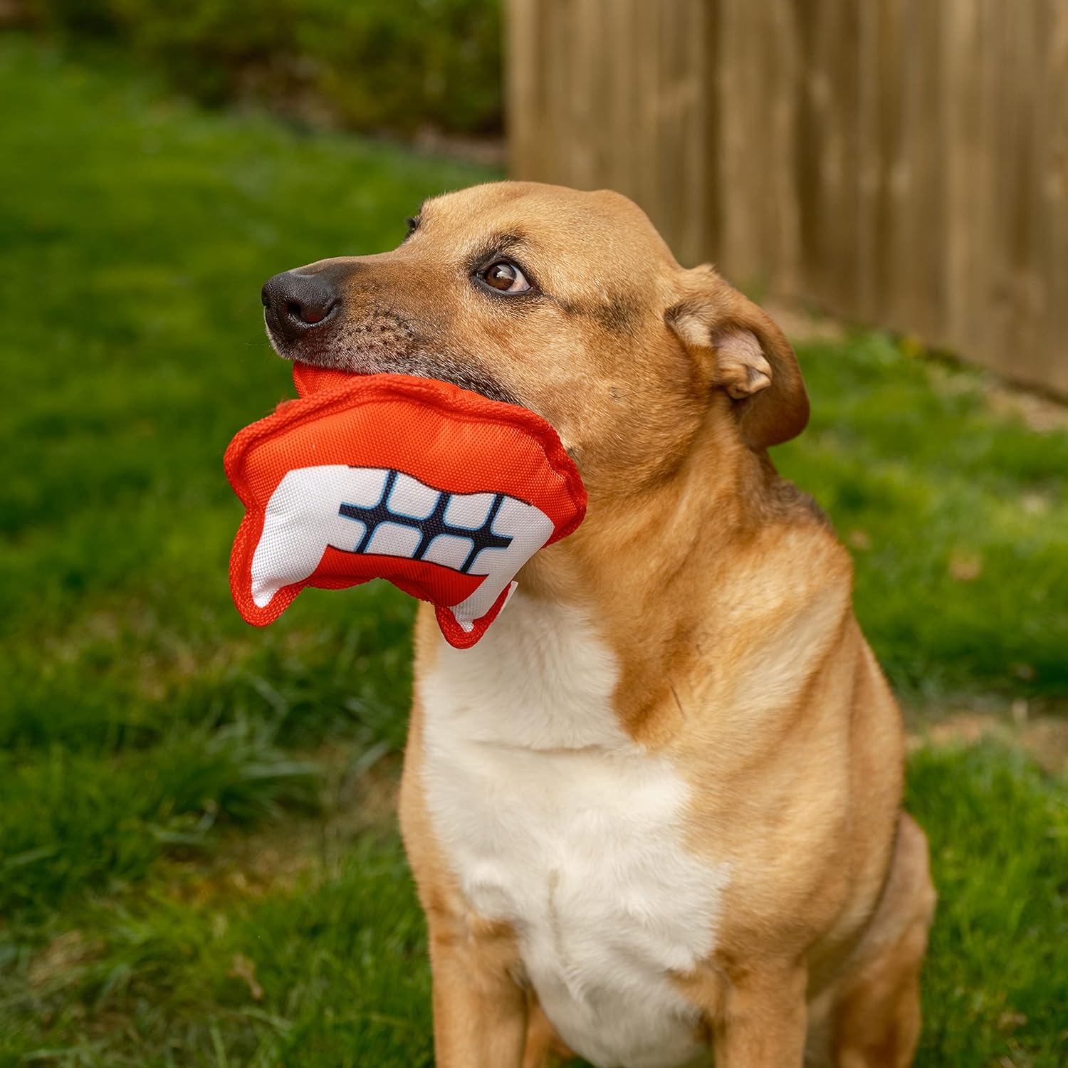 Pronk! Fangs Vampire Mouth Funny Face 6 x 3 Inch Durable Lightweight Water Resistant Dog Toy Vampire Fangs