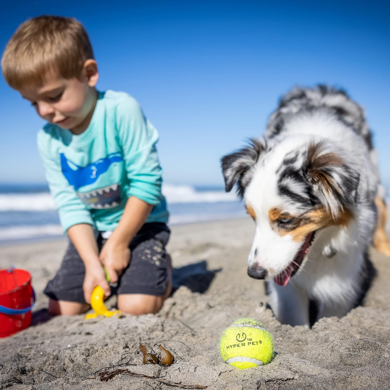 Hyper Pet Tennis Balls for Dogs - 12 Pack