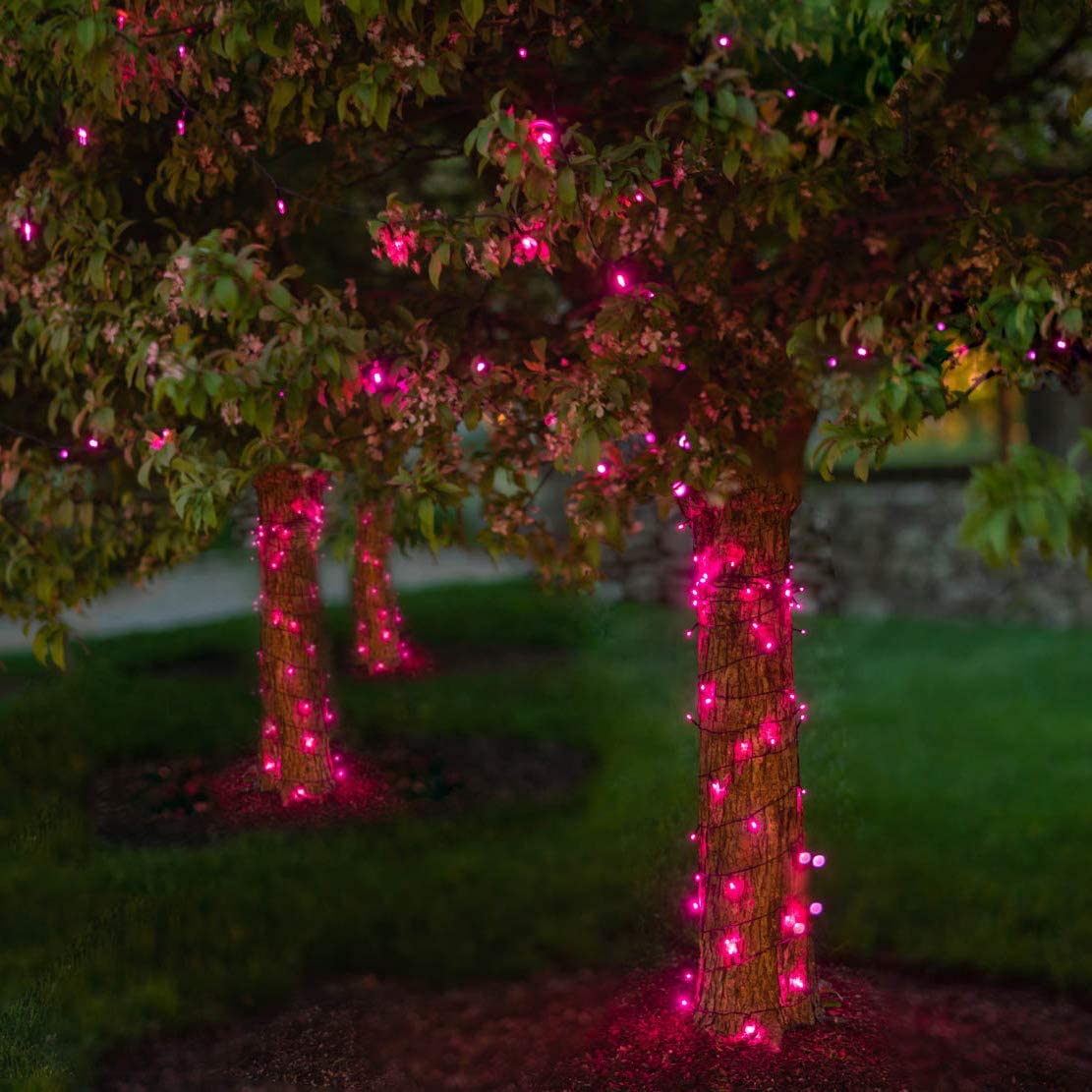 Touch of ECO 125 Solar Powered LED Outdoor String Lights, 68 Feet - Pink