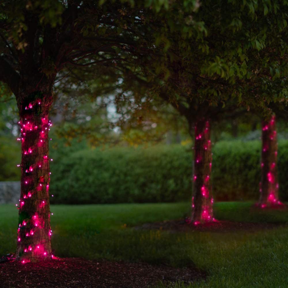 Touch of ECO 125 Solar Powered LED Outdoor String Lights, 68 Feet - Pink