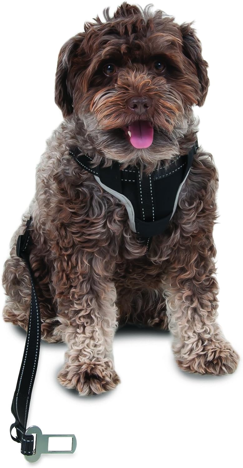 Petmate Ultimate Travel Harness for Pets